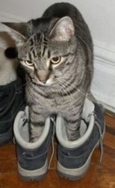 (c) The Top 10 of Anything and Everything