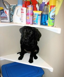 29046_1228253681466_3629865_n