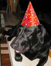 298442_1785702857347_966544_n