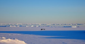 DSC00500